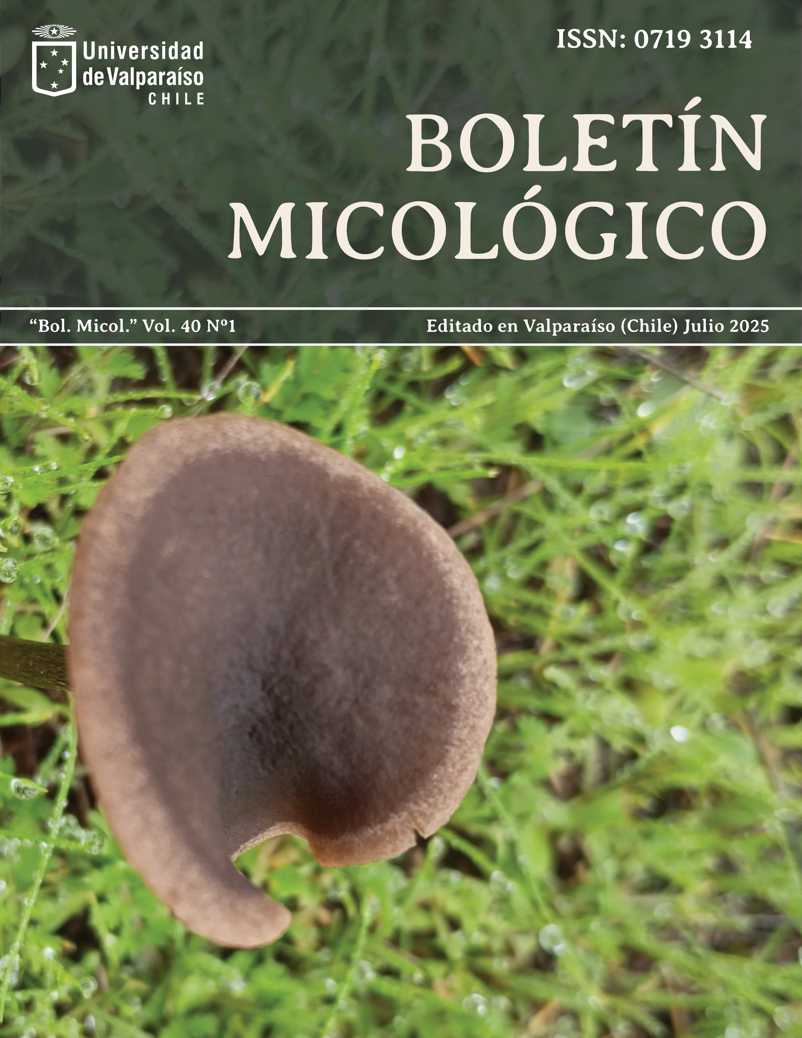 					Ver Vol. 40 Núm. 1 (2025)
				